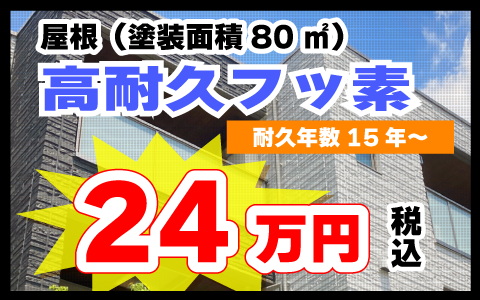屋根（塗装面積80㎡） ：高耐久フッ素 耐久年数15年～ 24万円