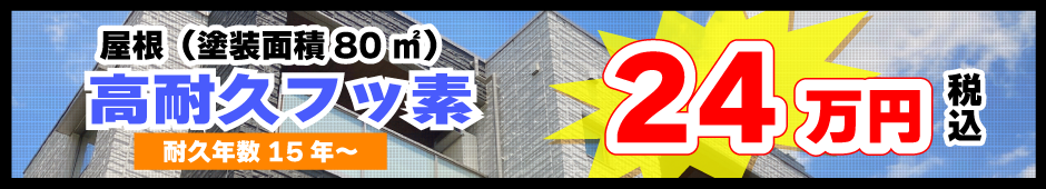 屋根（塗装面積80㎡） ：高耐久フッ素 耐久年数15年～ 24万円